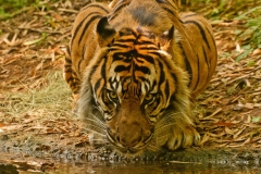 CRW_7759r