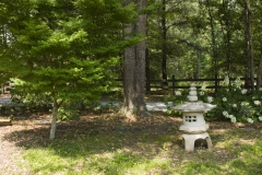 Shade Garden beside my driveway, Canon 24-70 2.8L