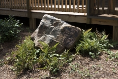 Kate's Birthday Rock